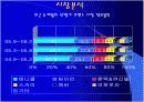 스카이(SKY), MIC 전략의 성공사례에 대한 내용 및 평가 5페이지