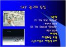 스카이(SKY), MIC 전략의 성공사례에 대한 내용 및 평가 9페이지