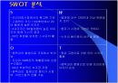 스카이(SKY), MIC 전략의 성공사례에 대한 내용 및 평가 10페이지