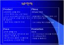 스카이(SKY), MIC 전략의 성공사례에 대한 내용 및 평가 11페이지