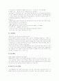[마케팅][마케팅사례]국제마케팅, 투자유치마케팅, 네트워크마케팅, 컬러마케팅 고찰과 CGV, 신라호텔, 삼양라면, 싸이월드, 미샤, 아웃백, 참이슬, 비타500, 컨디션, 쌈지의 마케팅전략 분석(마케팅사례) 25페이지