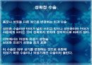 성전환 문제 조사 간단한 발표레포트 4페이지