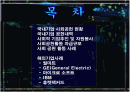 사회공헌활동 사회중시경영 국내국외 사례 발표레포트  2페이지