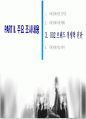 데이콤 기업분석 30페이지