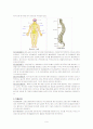 신경계의 구조와 기능 9페이지