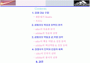 아디다스vs나이키 비교분석 2페이지