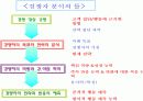 아디다스vs나이키 비교분석 3페이지