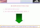 아디다스vs나이키 비교분석 4페이지