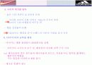 아디다스vs나이키 비교분석 16페이지