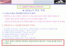 아디다스vs나이키 비교분석 17페이지