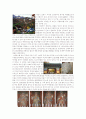 도선사 답사 report 2페이지