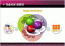 콜게이트 팜올리브 마케팅분석 4페이지