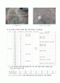 수성구 시지동 매호천 조사자료 (백악기 공룡발자국) 4페이지