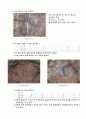 대구 북구 노곡동 일대 지질조사 8페이지