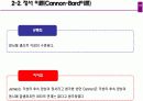 [심리학] 정서이론 13페이지