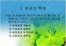 조직과 환경의 관계 분석  13페이지