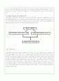 동대문 밀리오레를 통해 살펴본 패션쇼핑몰의 입지요인 10페이지