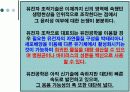 유전자 조작 프리젠테이션 4페이지