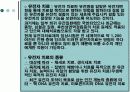 유전자 조작 프리젠테이션 5페이지