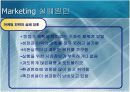 815콜라의 마케팅실패사례분석 6페이지