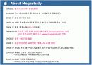 메가스터디 마케팅사례분석(담당자인터뷰포함) 4페이지