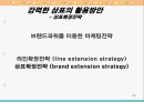 브랜드자산의 개념및관리 22페이지