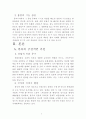한류열풍이 나아갈길 3페이지