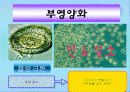 중학교 환경 맑고푸름5. 깨끗하고 풍부한 물 7페이지