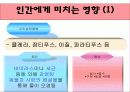 중학교 환경 맑고푸름5. 깨끗하고 풍부한 물 12페이지