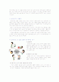 골다공증과 식사요법 4페이지