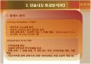 칫솔시장 마케팅분석 9페이지