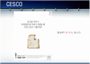 세스코(CESCO) 분석 2페이지