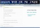 세스코(CESCO) 분석 5페이지