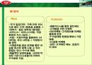 아웃백 빕스(VIPS) 비교분석 29페이지