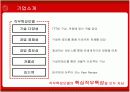 구글(Google)의 국내진출 문제점분석과 새로운 전략방안 6페이지
