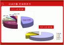 구글(Google)의 국내진출 문제점분석과 새로운 전략방안 15페이지