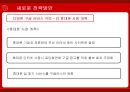 구글(Google)의 국내진출 문제점분석과 새로운 전략방안 29페이지