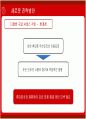 구글(Google)의 국내진출 문제점분석과 새로운 전략방안 30페이지