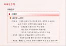 17차(남양유업)의 마케팅전략 성공사례 32페이지