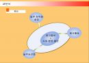 한식프랜차이즈 놀부의 마케팅과 새로운 전략 25페이지