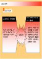 한식프랜차이즈 놀부의 마케팅과 새로운 전략 30페이지