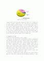 국제결혼가정의 긍정, 부정적 측면과 사례연구 11페이지