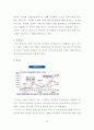 국제결혼가정의 긍정, 부정적 측면과 사례연구 48페이지