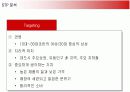 더페이스샵(THE FACE SHOP)의 마케팅전략 18페이지