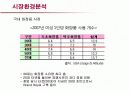 저가화장품 미샤의 마케팅전략과 개선방안 10페이지