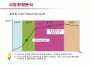 저가화장품 미샤의 마케팅전략과 개선방안 13페이지