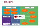 저가화장품 미샤의 마케팅전략과 개선방안 15페이지
