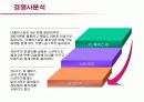 저가화장품 미샤의 마케팅전략과 개선방안 16페이지