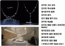 진주에 대한 이해 & 명품 미키모토 Story 2페이지