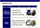 진주에 대한 이해 & 명품 미키모토 Story 5페이지